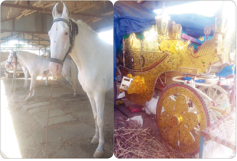 திருமணம், காதணி விழா ஊர்வலம் நடைபெறாததால் நாட்டிய குதிரை வளர்ப்பவர்கள் வருமானம் இழந்து தவிப்பு