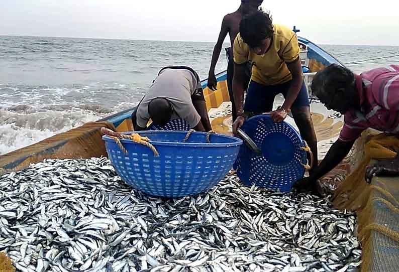 மீன் வாங்க வந்த வியாபாரிக்கு கொரோனா: தூத்துக்குடி மீன்பிடி துறைமுகம் மூடல்