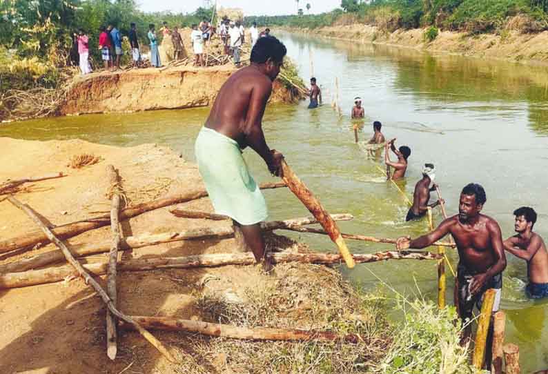 கீரமங்கலம் அருகே, கல்லணை கால்வாயில் உடைப்பு; வயல்களில் பெருக்கெடுத்து ஓடிய தண்ணீர் - 15 மணி நேர போராட்டத்திற்கு பின் சீரமைப்பு