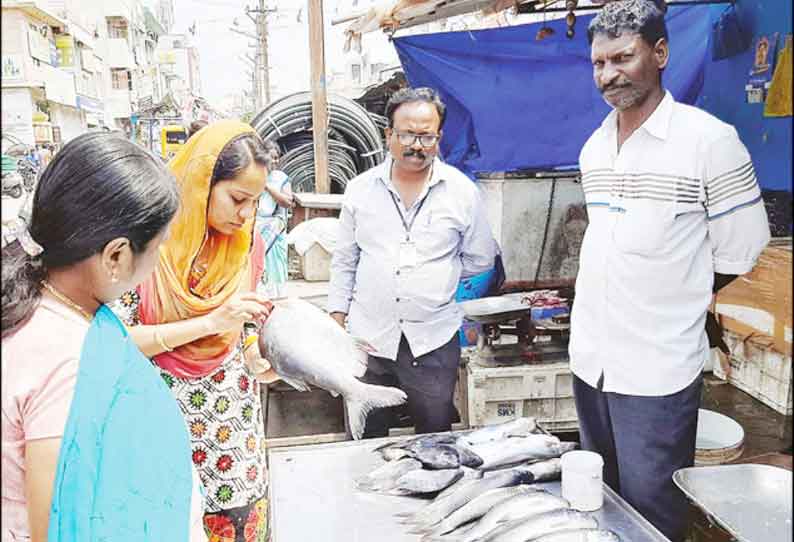 தர்மபுரி நகரில் மீன் கடைகளில் அதிகாரிகள் திடீர் ஆய்வு