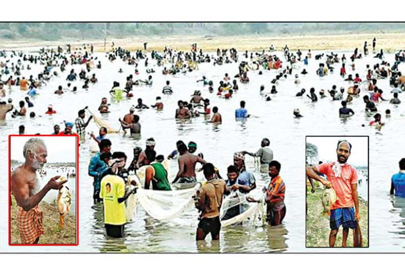 மேலூர் அருகே கிராம மக்கள் பங்கேற்ற மீன்பிடி திருவிழா வீடுகள் தோறும் ‘கமகம’ மீன் வாசனை