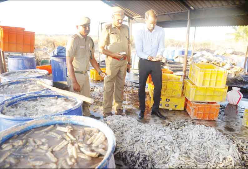 நாகையில் இருந்து வெளிநாடுகளுக்கு கடத்துவதற்காக குடோனில் பதுக்கி வைத்திருந்த ரூ.3 கோடி கடல் அட்டைகள் பறிமுதல்