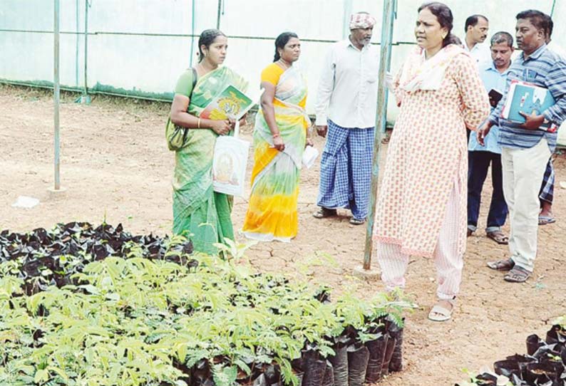 ஊரக வளர்ச்சித்துறை திட்டங்களை கலெக்டர் சாந்தா ஆய்வு