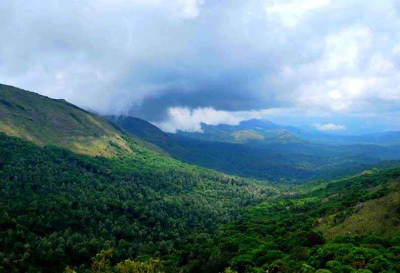 மேற்கு தொடர்ச்சி மலையில் வன விலங்குகள் எண்ணிக்கை அதிகரிப்பு - வனத்துறை அதிகாரி தகவல்