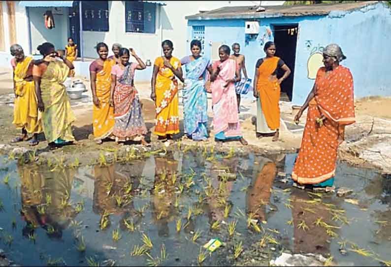 தேங்கி நின்ற கழிவுநீரில் நாற்று நட்டு கிராம மக்கள் போராட்டம் உளுந்தூர்பேட்டை அருகே பரபரப்பு