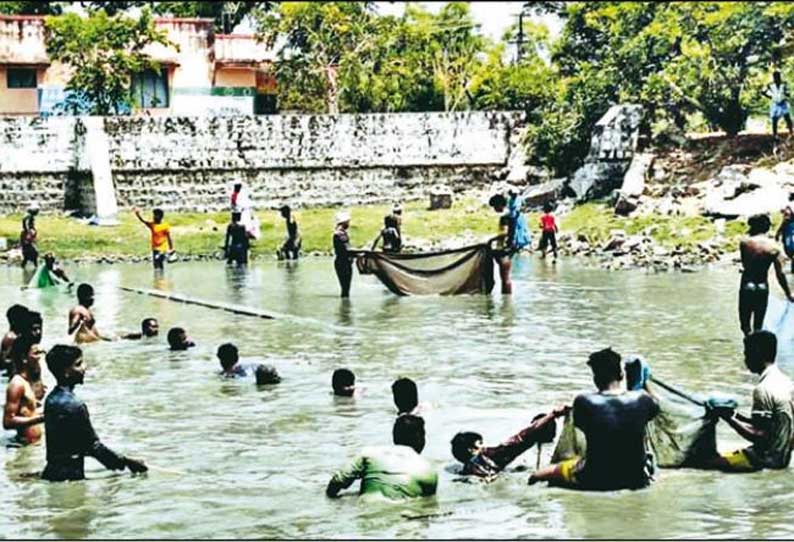 வருமானம் இன்றி தவிப்பு: உணவுக்காக குளத்தில் மீன் பிடிக்கும் கிராமத்தினர்