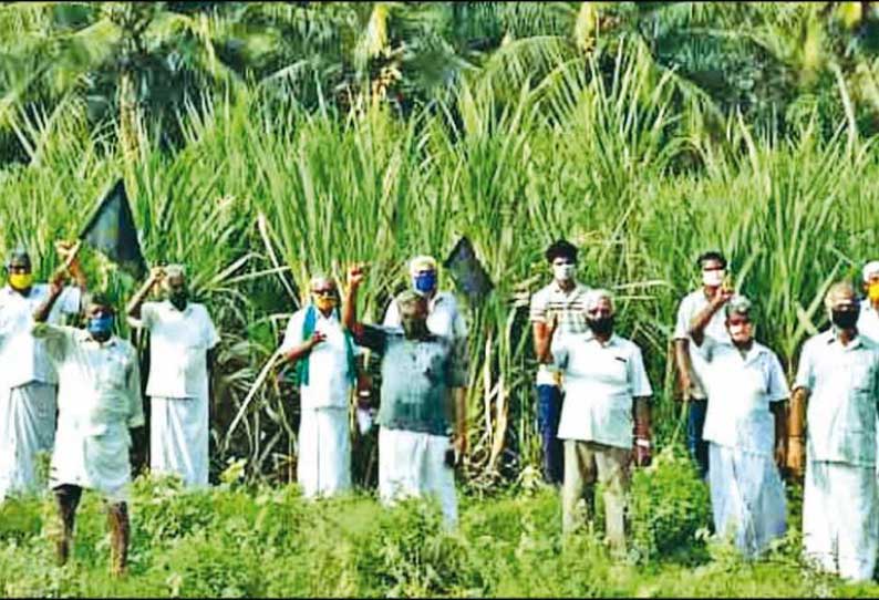 நிலுவை தொகையை வழங்கக்கோரி கரும்பு விவசாயிகள் போராட்டம்