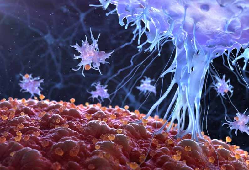 கொரோனா பாதித்தவர்களுக்கு விதவிதமான பல புதிய அறிகுறிகள்- டாக்டர்கள் குழப்பம்