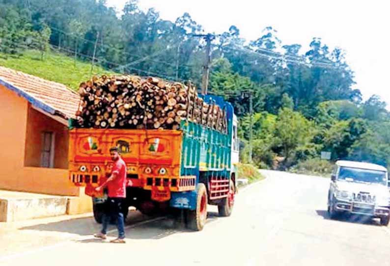 ஊரடங்கால் விறகுகள் தட்டுப்பாடு: வனப்பகுதிக்குள் விழுந்து கிடக்கும் மரத்துண்டுகள் தேயிலை தொழிற்சாலைகளுக்கு அனுப்பி வைப்பு