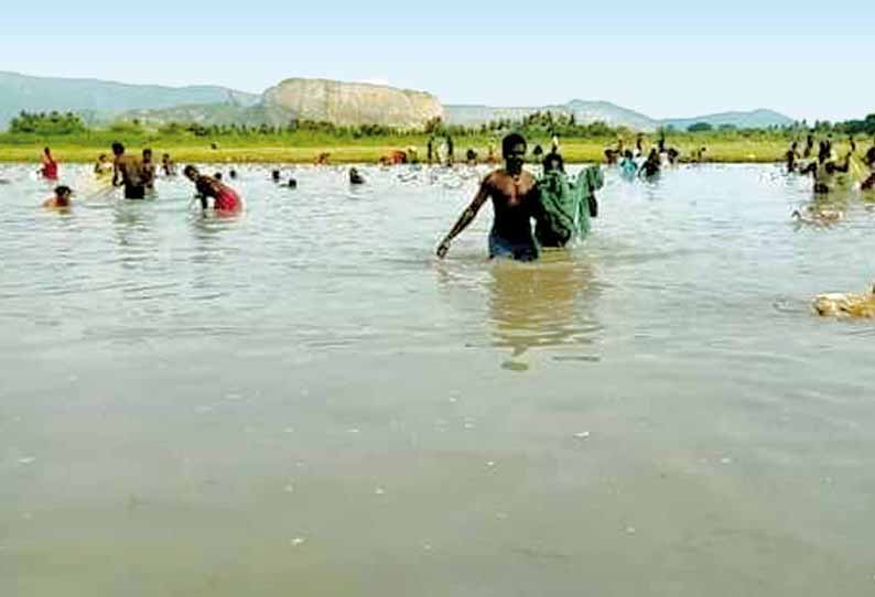 ஊரடங்கை மீறி கண்மாயில் மீன்பிடி திருவிழா