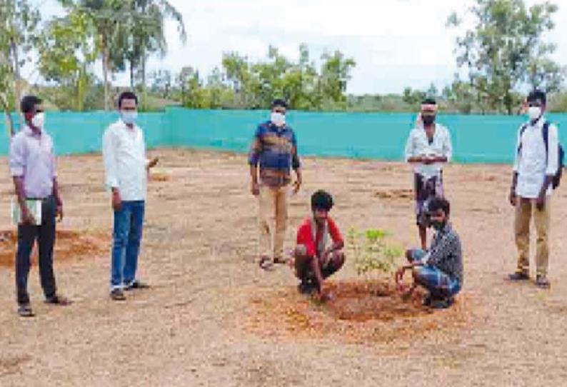 தனிமைப்படுத்தப்பட்ட இளைஞர்கள் மரக்கன்றுகள் நட்டு பராமரிப்பு