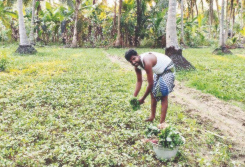 ஊரடங்கால் பள்ளிகள் மூடல்: விவசாயம் செய்து வருமானத்தை ஈட்டும் தனியார் பள்ளி ஆசிரியர் ஆன்லைன் மூலம் மாணவர்களுக்கு பாடமும் நடத்துகிறார்