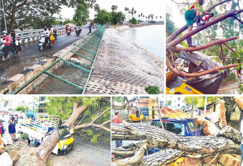 கோவையில் சூறாவளி காற்றுடன் பலத்த மழை மரங்கள் விழுந்ததால் மின்சாரம் துண்டிப்பு; வாகனங்கள் சேதம்