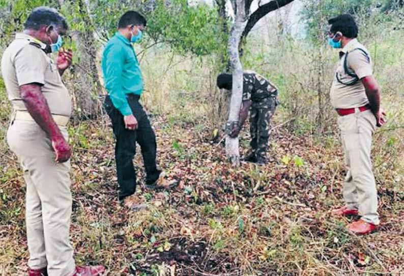 ஆனைமலை புலிகள் காப்பகத்தில் வன விலங்குகள் கணக்கெடுப்பு தொடங்கியது