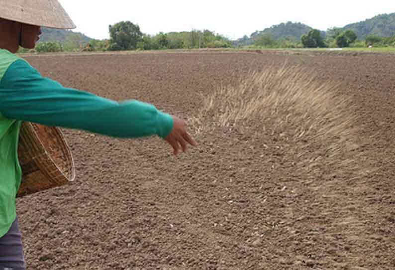 பொன்னேரி அருகே புதிய தொழில்நுட்பத்தில் நெல் விதைப்பு - வேளாண் அதிகாரிகள் பார்வையிட்டனர்