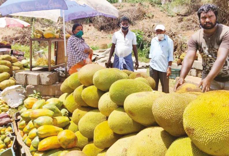 குன்னூரில் பலாப்பழங்கள் விலை வீழ்ச்சி