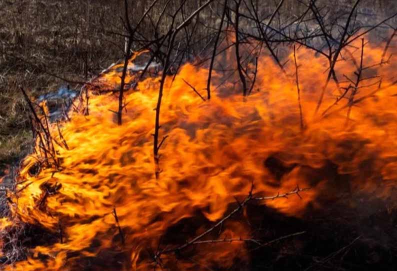 கொடூரமான காட்டுத்தீயால் பற்றி எரியும் சைபீரிய காடுகள் உருகும் பனிப்பாறைகள்