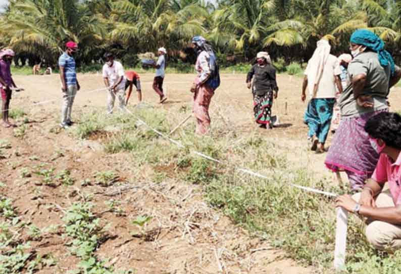 சென்னிமலை அருகே கொடுமணல் பகுதியில் மீண்டும் அகழாய்வு தொடங்கியது