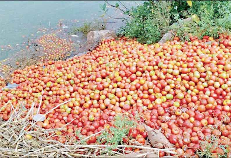 சூளகிரி பகுதியில் கடும் விலை வீழ்ச்சியால் ஏரியில் தக்காளியை கொட்டிய விவசாயிகள்