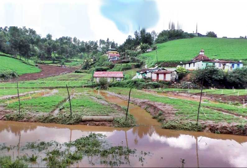 தொடர் மழை காரணமாக கேத்தி பாலாடாவில் விளைநிலங்களுக்குள் வெள்ளம் புகுந்தது - 7 வீடுகள் சேதம்