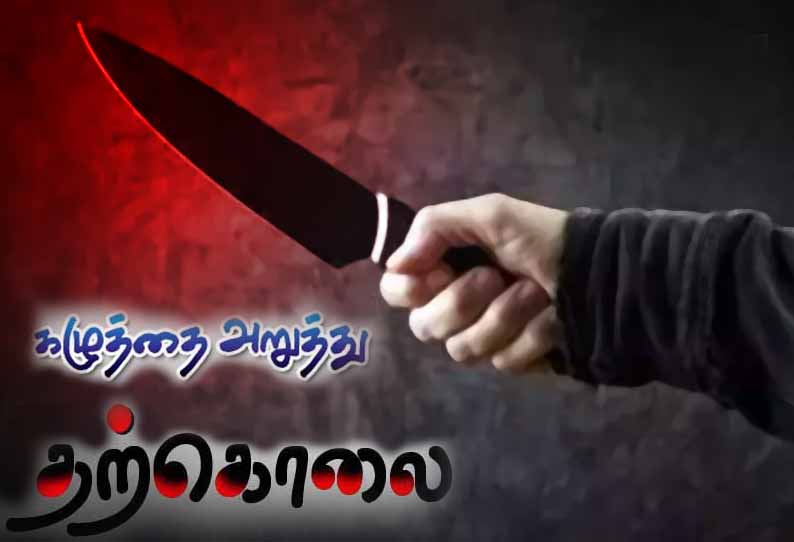 சென்னை கிண்டியில் 80 வயது தாயை கழுத்தை அறுத்து கொன்றுவிட்டு மகன் தற்கொலை - கவனிக்க ஆள் இல்லாததால் பரிதாபம்