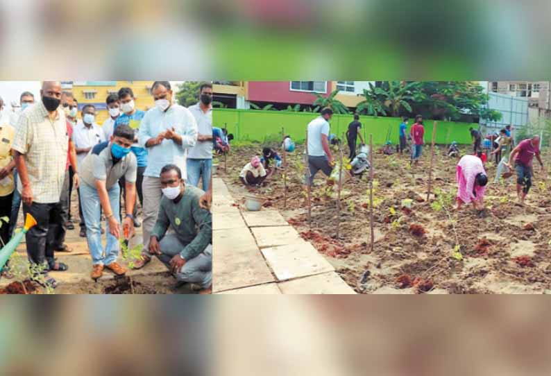 சோழிங்கநல்லூர் மண்டலத்தில் ‘மியாவாக்கி ’ முறையில் அடர்ந்த காடுகள் உருவாக்கம் - மாநகராட்சி கமிஷனர் கோ.பிரகாஷ் தொடங்கி வைத்தார்