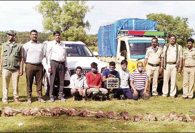 சாகர் தாலுகாவில் சம்பவம் 36 குரங்குகளுக்கு விஷம் வைத்து கொன்ற 5 பேர் கைது