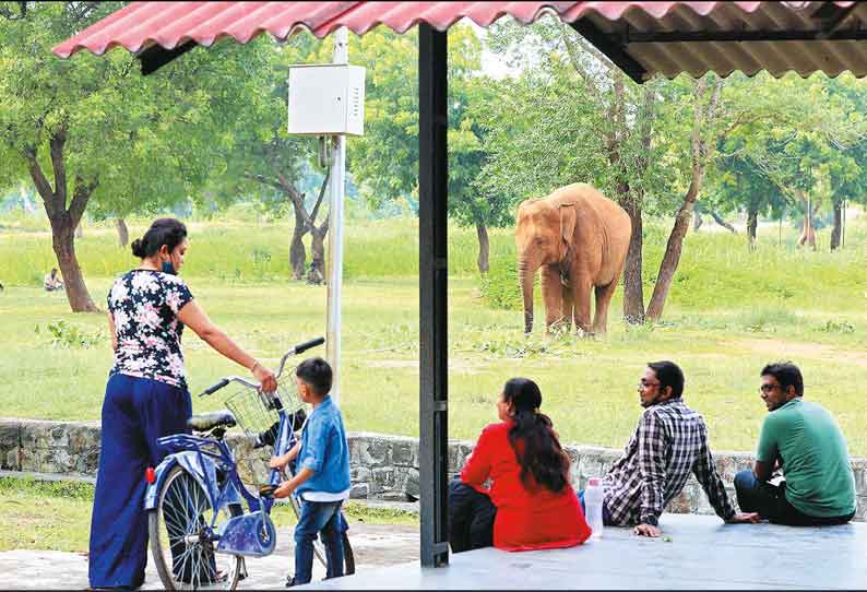 கொரோனா தொற்று காரணமாக மூடப்பட்டு இருந்த வண்டலூர், கிண்டி பூங்காக்கள் 7 மாதங்களுக்கு பிறகு மீண்டும் திறப்பு