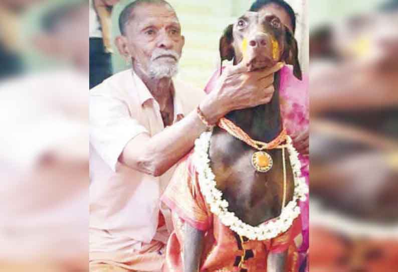 தஞ்சையில், மகளுக்கு நடத்துவது போல் வளர்ப்பு நாய்க்கு வளைகாப்பு நடத்திய முதியவர் - உறவினர்கள், சீர்வரிசையுடன் பங்கேற்பு