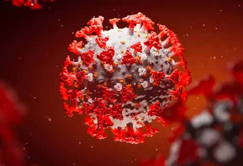 அரியலூர்-பெரம்பலூரில் புதிதாக 11 பேருக்கு கொரோனா தொற்று