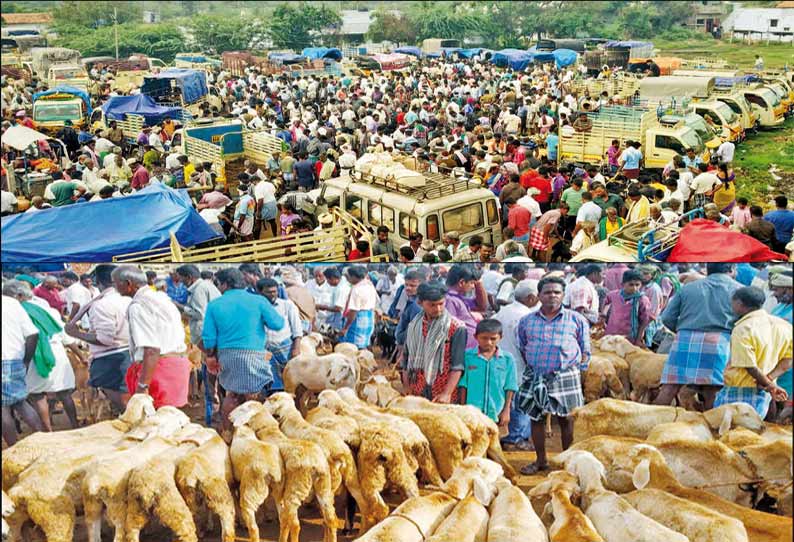 தீபாவளியை முன்னிட்டு அய்யலூர் சந்தை களைகட்டியது; ரூ.2½ கோடிக்கு ஆடுகள் விற்பனை