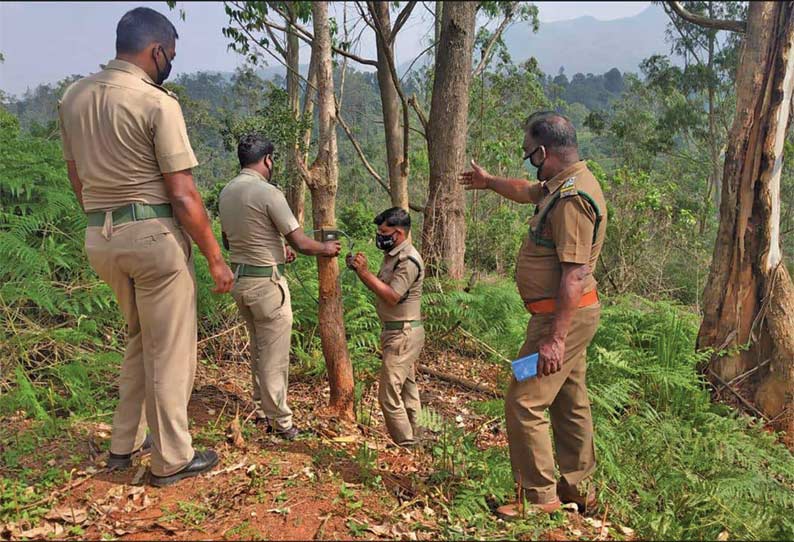 கூடலூர் அருகே ஊருக்குள் நுழையும் காட்டுயானைகள் கணக்கெடுப்பு - வனத்துறை ஊழியர்களுக்கு செயல் விளக்கம்