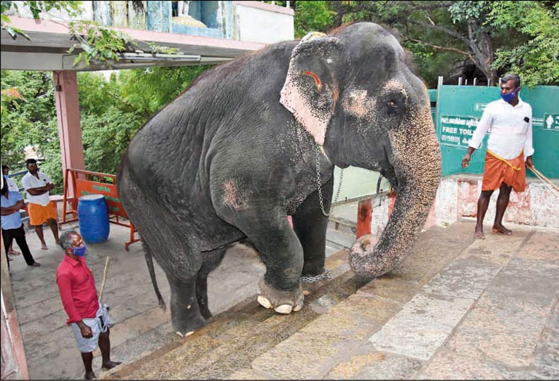 பழனி முருகன் கோவிலில் கந்த சஷ்டி விழா காப்பு கட்டுதலுடன் தொடங்கியது