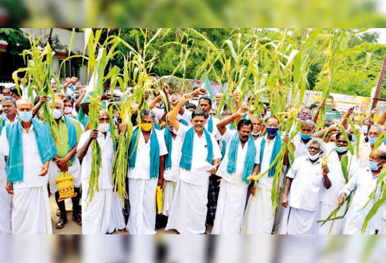 கலெக்டர் அலுவலகத்தில் விவசாயிகள் மக்காச்சோள பயிர்களுடன் போராட்டம் - இழப்பீடு வழங்க வலியுறுத்தல்