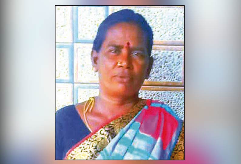 சங்கரன்கோவில் அருகே கார்- மொபட் மோதல்; பெண் பலி கணவர் படுகாயம்