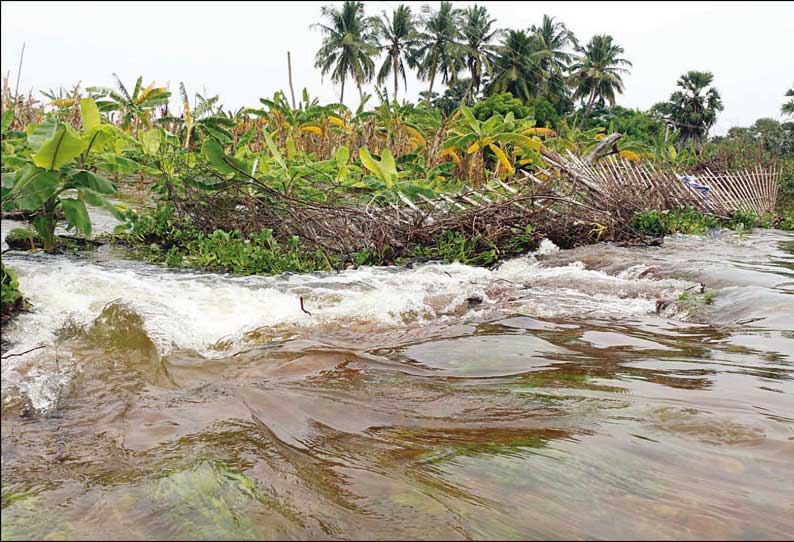 பழையகாயல் குளத்தின் கரை உடைந்தது விவசாய நிலங்களுக்குள் தண்ணீர் புகுந்தது