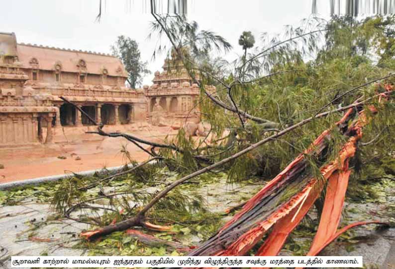 மாமல்லபுரத்தில் சூறாவளி காற்றில் முறிந்து விழுந்த மரங்கள்