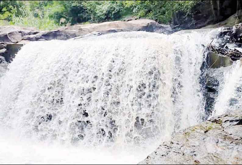 நிவர் புயல் எதிரொலியாக திருச்சி மாவட்டத்தில் பரவலாக மழை எவ்வித பாதிப்பும் இல்லை