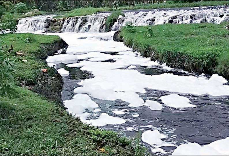 சேலம் அருகே திருமணிமுத்தாற்றில் கலக்கும் சாயப்பட்டறை கழிவுநீர் நடவடிக்கை எடுக்க விவசாயிகள் கோரிக்கை