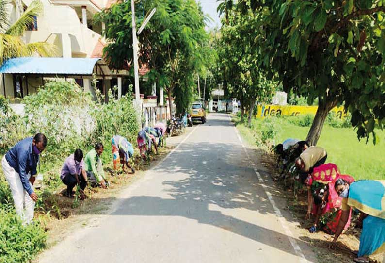 காவேரிப்பாக்கம் பேரூராட்சி சார்பில் வீடு, வீடாக மரக்கன்றுகள் வழங்கும் விழா