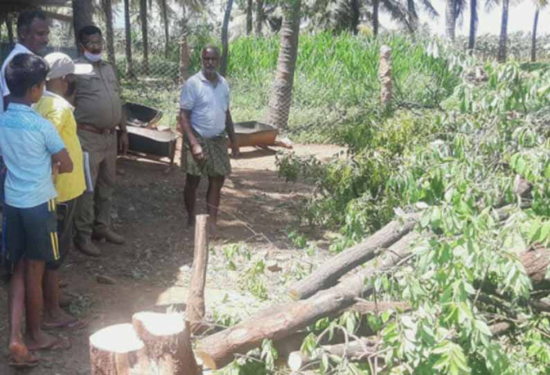 பிஸ்கெட்டில் விஷம் தடவி கொடுத்து நாயை கொன்று விட்டு சந்தனமரம் வெட்டி கடத்தல்