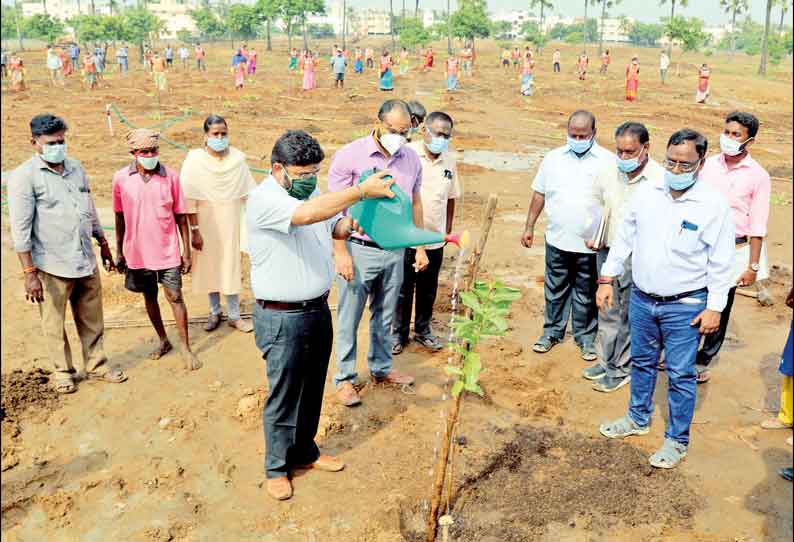 33 ஏக்கர் பரப்பளவில் 500 பாரம்பரிய மரவகைகள் கொண்ட இயற்கை தோட்டம் மாநகராட்சி கமிஷனர் தொடங்கி வைத்தார்