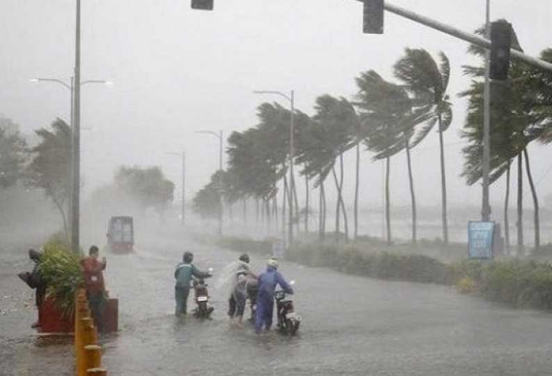 வடகிழக்கு பருவமழை காலத்தில் அரசு டாக்டர்கள் எந்த நேரமும், எந்த இடத்திலும் பணியாற்ற தயாராக இருக்க வேண்டும் - பொது சுகாதாரத்துறை இயக்குனர் சுற்றறிக்கை