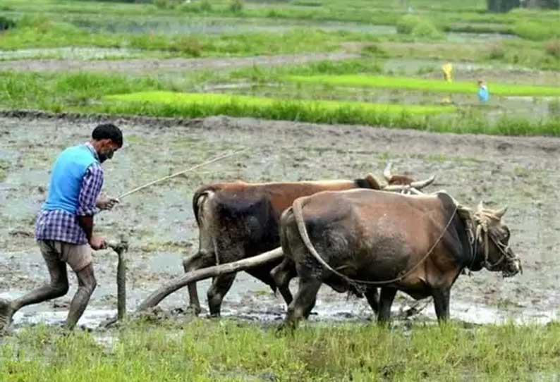 பிரதமரின் விவசாயிகள் நிதி உதவி திட்டத்தில் முறைகேடு ‘வாட்ஸ்-அப்’ மூலம் பொதுமக்கள் தகவல் அனுப்பலாம் தக்க சன்மானம் வழங்கப்படும் என்று சி.பி.சி.ஐ.டி. அறிவிப்பு