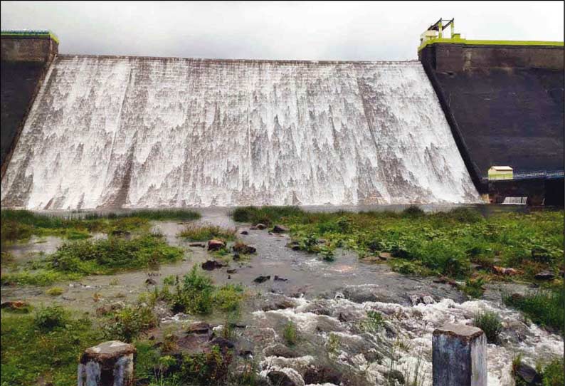 மேற்கு தொடர்ச்சி மலைப்பகுதியில் பலத்த மழை: அடவிநயினார் அணை மீண்டும் நிரம்பியது