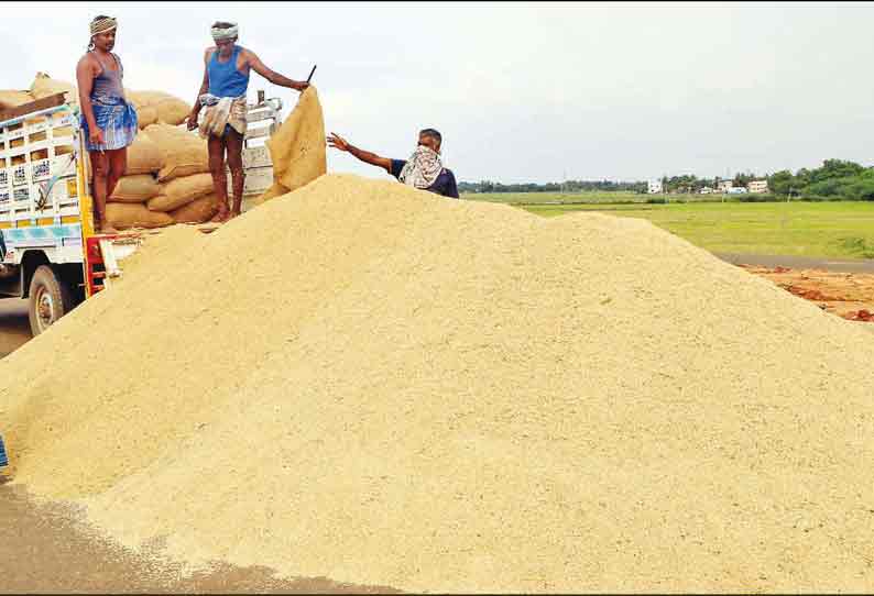 தஞ்சை மாவட்டத்தில் 67 ஆயிரம் ஏக்கரில் சம்பா, தாளடி நடவு முடிந்தது குறுவை அறுவடையும் இறுதிக்கட்டத்தை எட்டியது