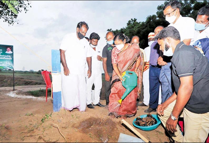 பொதுப்பணித்துறையின் நீர்வள ஆதார துறை சார்பில் பட்டரைப்பெருமந்தூர் ஏரியில் பனை விதைகள் நடும் நிகழ்ச்சி மாவட்ட கலெக்டர் தொடங்கி வைத்தார்