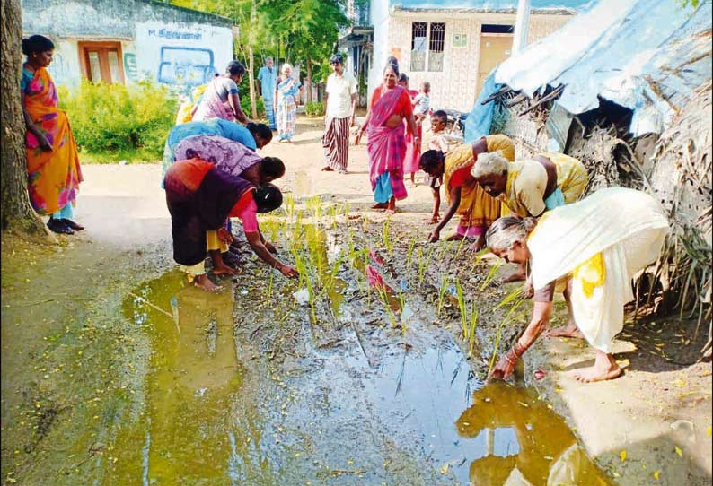 அம்மாபாளையம் கிராமத்தில் சாலையில் நாற்று நடும் போராட்டம்