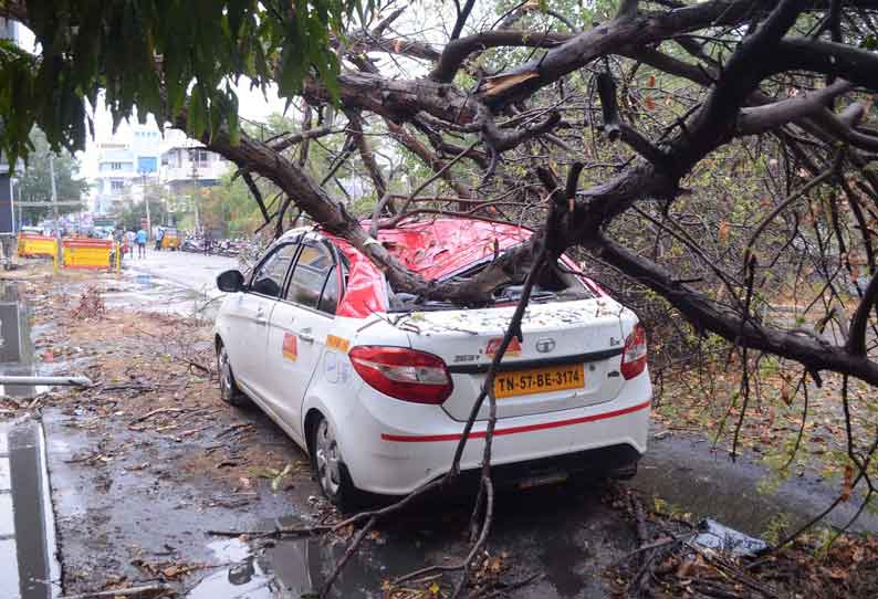 திண்டுக்கல்லில் கொட்டித்தீர்த்த ஆலங்கட்டி மழை; மரங்கள் சாய்ந்து விழுந்ததில் 2 கார்கள் சேதம்