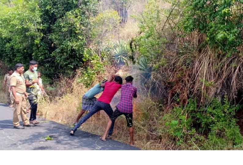 தீயணைப்பு துறை சார்பில் காட்டுத்தீயை அணைக்க இளைஞர்களுக்கு பயிற்சி